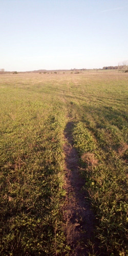 Campo 10 Hás En Paysandú