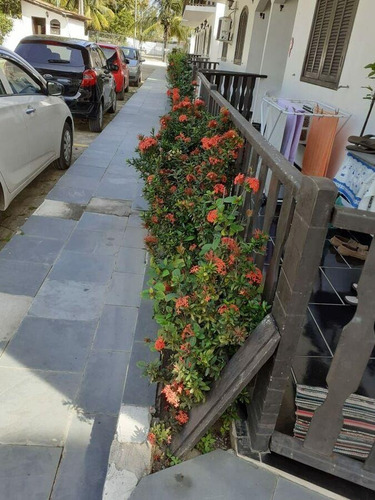 Imagem 13 de 15 de Apartamento 2 Quartos Para Venda Em Araruama, Praia Seca, 2 Dormitórios, 1 Banheiro, 2 Vagas - 91_2-253534