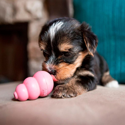 Imagen 6 de 10 de Kong Puppy X-small Juguete Perros Cachorros