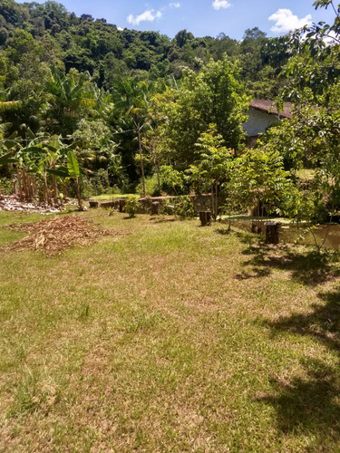 Sitio Em Miracatu