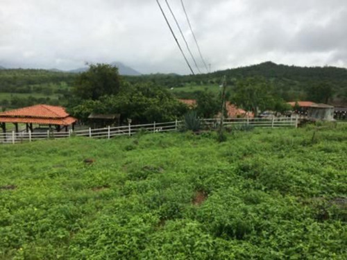 Imagem 1 de 9 de Fazenda Com 214 Tarefas A Venda Em Tanquinho - Afd007 - 70220002