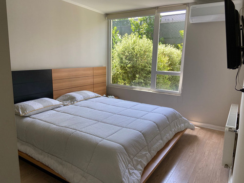 Imagen 7 de 18 de Cómodo Departamento, Con Lindo Jardín Privado.