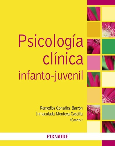 Psicologia Clinica Infanto-juvenil - R. Gonzalez Bar, De Remedios Gonzalez Barron / Inmaculada Montoya Castilla. Editorial Piramide En Español