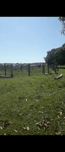 Vendo Fazenda De 1700hec Pecuaria/cultura Em Roraima (6096)