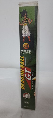 Vhs. Dragon Ball Gt. 12 Anime (Usado)