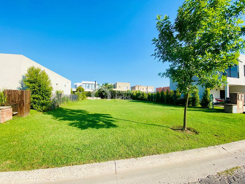 Lote Interno Con Amarra En Tigre, Barrio Náutico Vila Marina!