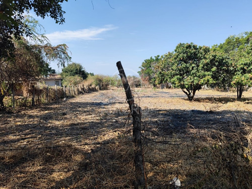 Terreno En Venta En Col. Gabriel Tepepa (ampliación Pesebres) Con Pozo De Agua.