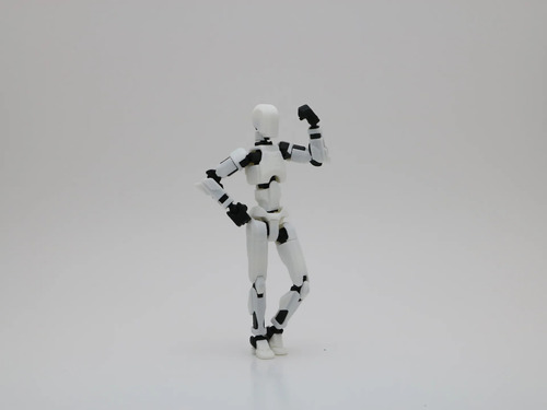 Boneco Articulado 3d Dummy 13