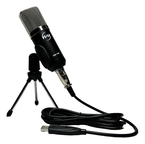 L3nz Kit De Micrófono Condensador Usb Zingyou - Plateado