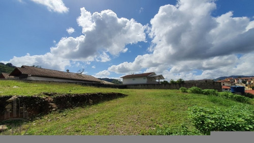 Imagem 3 de 5 de Amplo Terreno - Plano - Aguas Claras - Tr 225 - Tr 225