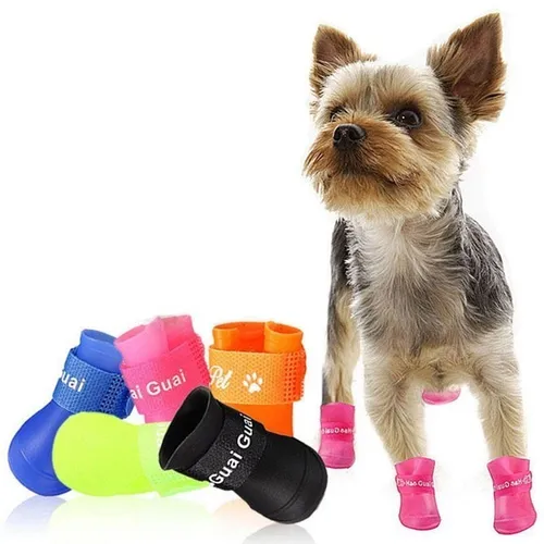 Sapato para cachorro mercado livre cheap