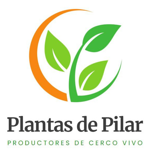 Grama Bahiana Somos Productores Zona Norte !!