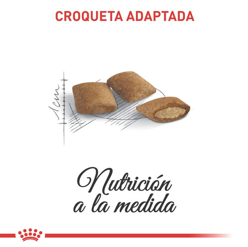 Alimento Para Gato Royal Canin Fhn Agein +12 2 Kg