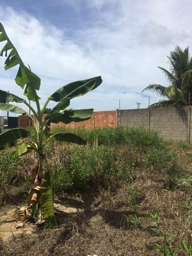 Imagem 6 de 7 de Terreno De Marechal Deodoro 15x33