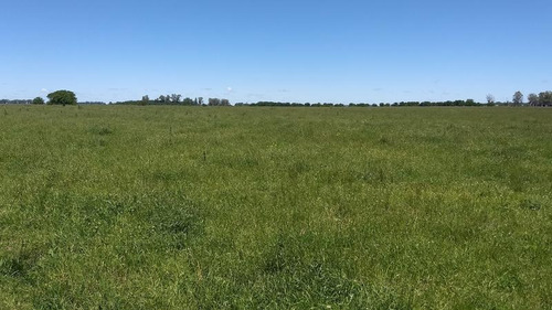 Imagen 6 de 19 de Campo Mixto De 280 Has Con Inmejorable Acceso Sobre Asfalto En Alegre - Oportunidad !
