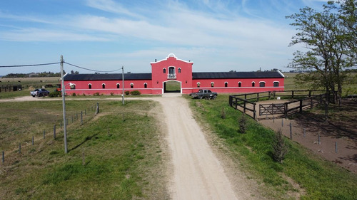 Imagen 4 de 19 de Campo - Coronel Brandsen