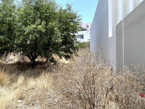 Zibata Queretaro, Precioso Lote En Venta De 309.25 M2. Condominio Cardon