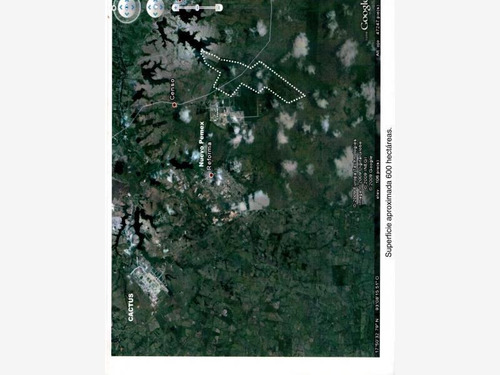 Imagen 2 de 2 de Rancho En Renta Renta En Estancia Vieja Junto A Petroquimica De Nuevo Pemex En Macuspana