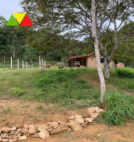 Imagem 15 de 26 de Fazenda - Fa00044 - 70220488