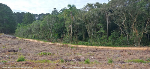 Imagem 2 de 15 de Terreno Para Venda Em Mariana Pimentel, Linha Alves - 1244_1-1843088