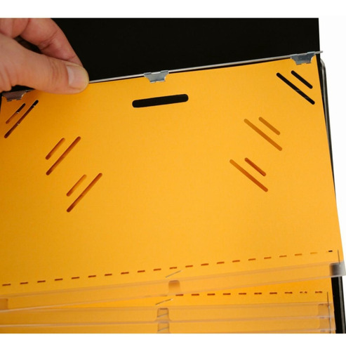 Lion Visible Record Book, Removable 25-pocket, 1 Book (185)