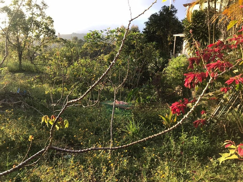 Imagen 12 de 14 de Terreno En Colinas De Carrizal