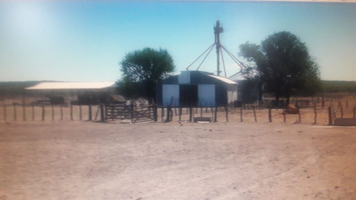 Imagen 9 de 10 de Terreno Campo En Venta Ubicado En La Maruja, Rancul