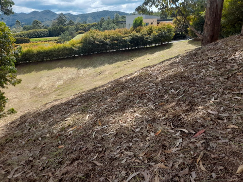 Lote Para La Venta En La Ceja - De Pakita