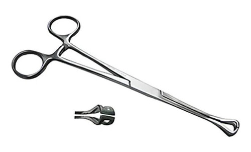 Pinza Babcock Acero Imoxidable 18 Cm Hergom Silvery Tipo de pinza Recta