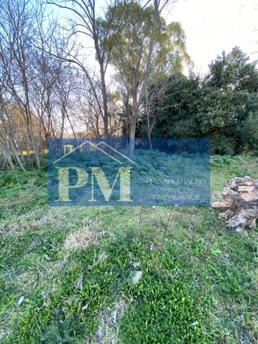 Deptos Con Amplio Terreno En Venta
