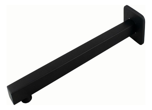 Ducha Chuveiro 30x30 Inox Com Braço 40cm Solar Gás Black