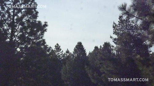 Imagen 5 de 10 de Lote En Country Pinar Del Sol, Bariloche
