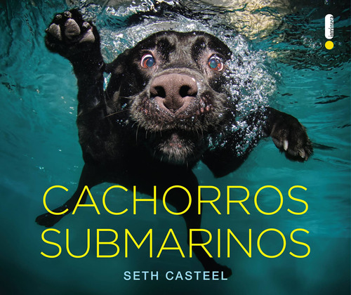 Cachorros submarinos, de Casteel, Seth. Editora Intrínseca Ltda., capa mole em português, 2014