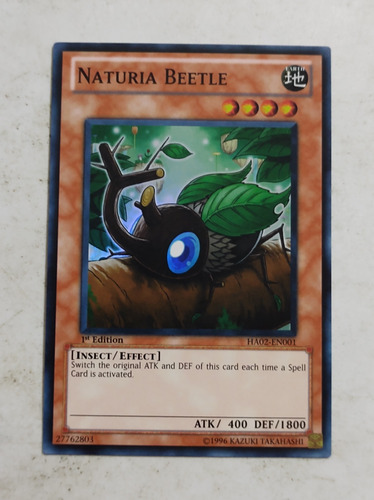 Naturia Beetle. Ha02 ... Leer Descripcion 