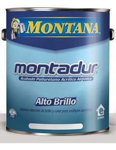 Pintura Poliuretano Alto Brillo Gris Y Catalizador Montadur