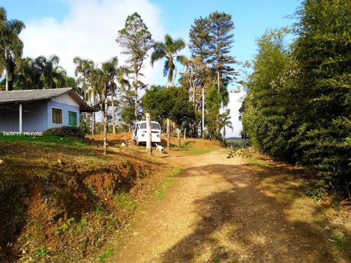 Imagem 5 de 15 de Chácara Para Venda Em São José Dos Pinhais, Colonia Murici - 50.230_1-1392071