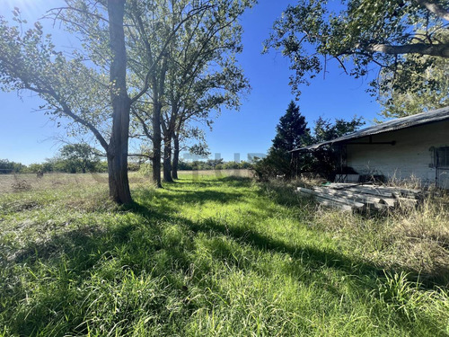 Venta Campo/ Terreno, Apto Desarrollo. Calle 135 Y 443 Bis