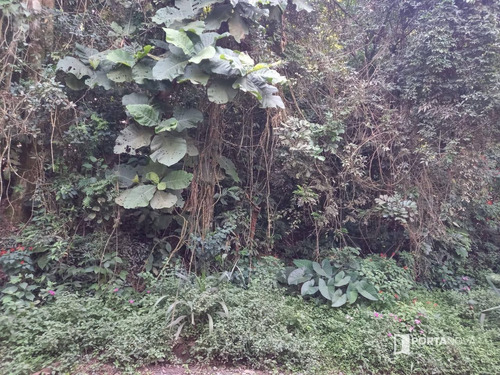 Terreno À Venda, 2000 M² Por R$ 200.000,00 - Votorantim - Embu Das Artes/sp - Te0263