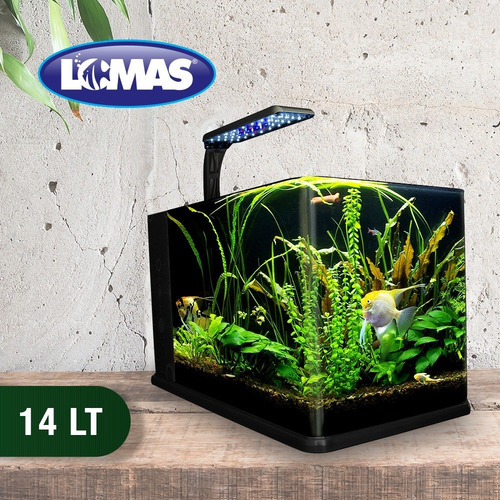 Imagen 6 de 7 de Kit Acuario Equipada Pecera Con Lampara 14 Lt De Escritorio