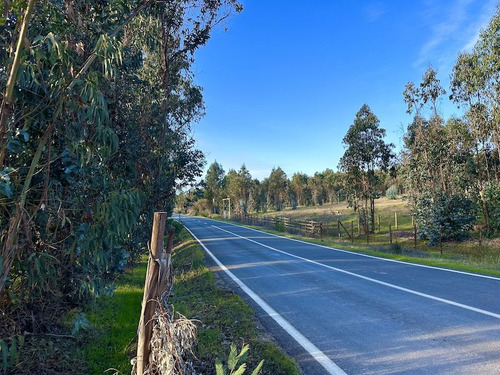 Invierte Seguro En Vichuquén Descuentos De 5 Millones