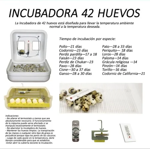 Incubadora Para Huevos