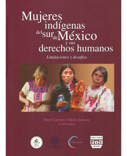 Mujeres Indígenas Del Sur De Mexico Y Sus Derechos Humanos