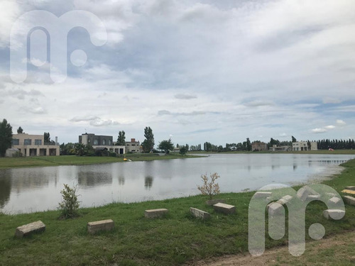 Imagen 8 de 10 de Venta Terreno - La Faustina