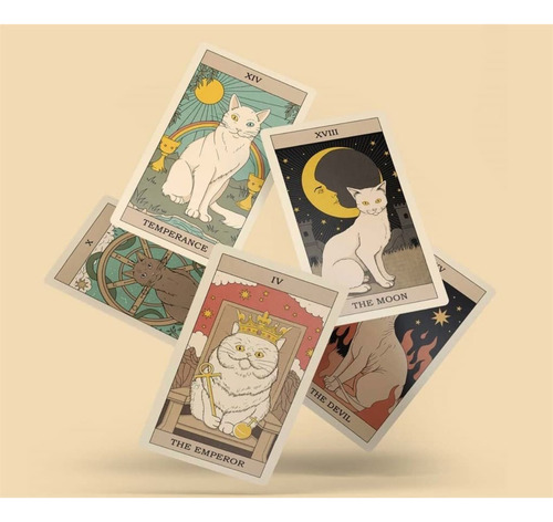 Cats Rule The Earth Obssecados Por Felinos