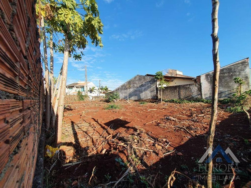 Imagem 5 de 8 de Terreno À Venda, 317 M² Por R$ 260.000,00 - Loteamento Chamonix - Londrina/pr - Te0339