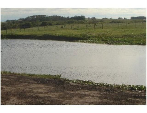 Quinta En Venta De 2 Dormitorios En Jose Ignacio