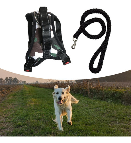 Arnés Para Perros Y Correa Para Perros Collar Ajustable M