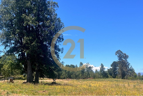 Parcelas A 15min De Villarrica Crédito Directo