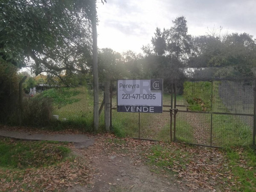Imagen 3 de 4 de 419 Entre 28 Y 29 . Lote En Venta - Villa Elisa.-