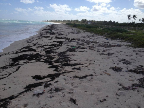 Imagen 4 de 16 de Oportunidad!! Terreno Frente Al Mar Mahahual-rio Indio P2699